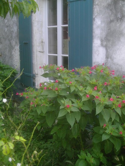 Maison de famille