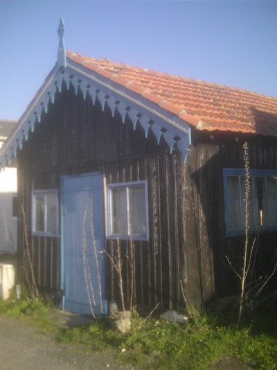 Port Paradis