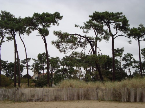 Ol&eacute;ron